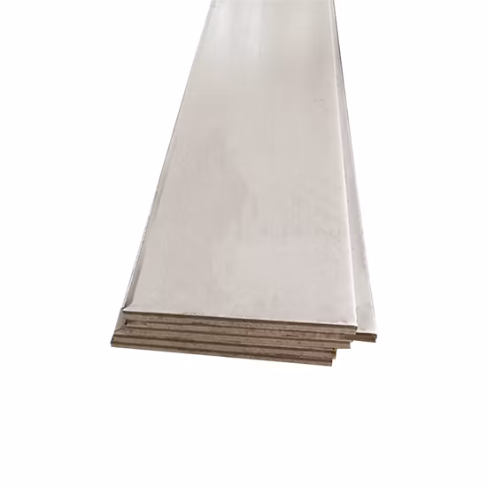 Barre plate d'acier inoxydable de solides solubles 201 304 316 410 420 2205 316L 310S